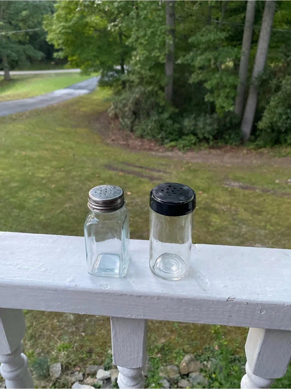 Glass Clear Salt & Pepper Shaker Set (2)